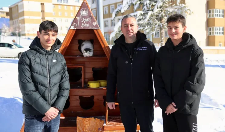 Sivas Belediyesi’nden sokak kedilerine kış önlemi