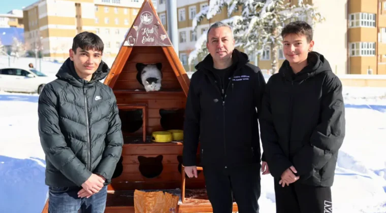 Sivas Belediyesi’nden sokak kedilerine kış önlemi