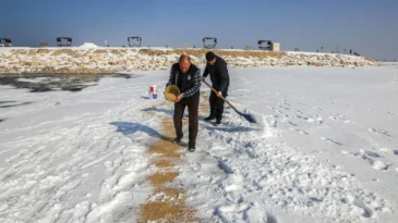 Van’da kuşlar için doğaya yem bırakıldı