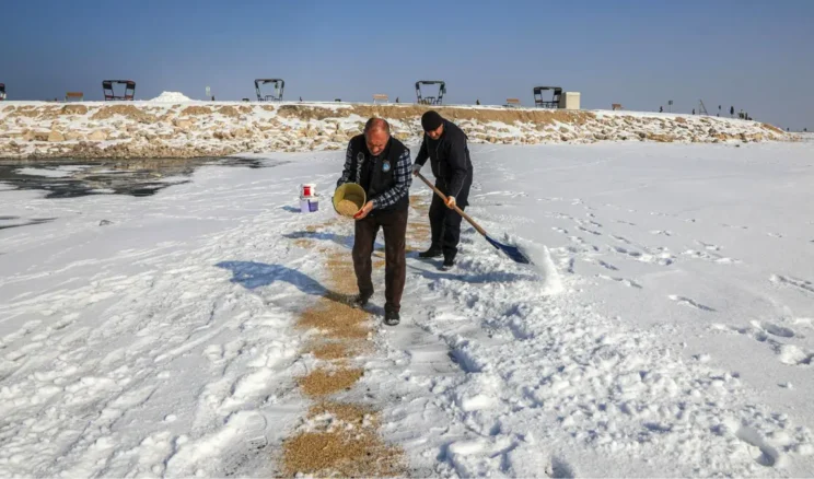 Van’da kuşlar için doğaya yem bırakıldı