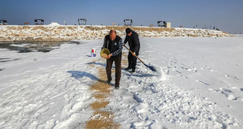 Van’da kuşlar için doğaya yem bırakıldı