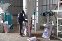 Ankara Polatlı’da Tohum Eleme ve Yem Ezme Tesisi açıldı