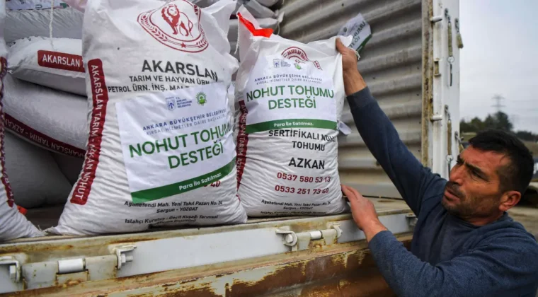 Ankara’da üreticiye 1 milyon 500 bin kilogram nohut tohumu desteği