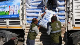 Aydın’da üreticilere yem hibesi desteği sürüyor