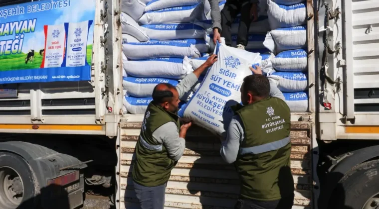 Aydın’da üreticilere yem hibesi desteği sürüyor