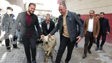 Şanlıurfa Eyyübiye’de yetim ailelere kurbanlık desteği