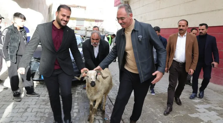 Şanlıurfa Eyyübiye’de yetim ailelere kurbanlık desteği
