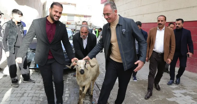 Şanlıurfa Eyyübiye’de yetim ailelere kurbanlık desteği
