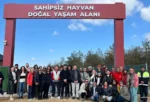 Edirne’de hayvanseverler yeni kurulan barınağı inceledi