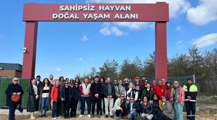 Edirne’de hayvanseverler yeni kurulan barınağı inceledi