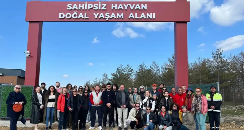 Edirne’de hayvanseverler yeni kurulan barınağı inceledi