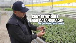Elazığ Belediyesi’nden Cip Jeotermal Sera Sahası’nda örnek üretim