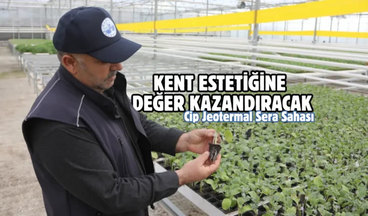 Elazığ Belediyesi’nden Cip Jeotermal Sera Sahası’nda örnek üretim