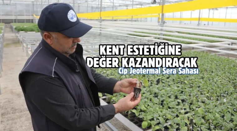 Elazığ Belediyesi’nden Cip Jeotermal Sera Sahası’nda örnek üretim