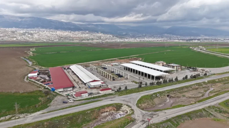 Kahramanmaraş’a 50 milyon liralık kesimhane inşa ediliyor