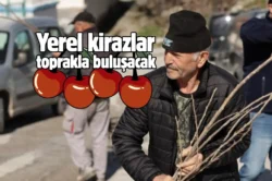 Kütahya’da tarıma uygun mahallelere yerel kiraz fidanı dağıtıldı