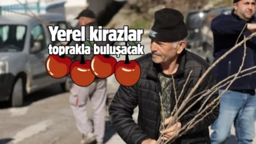 Kütahya’da tarıma uygun mahallelere yerel kiraz fidanı dağıtıldı