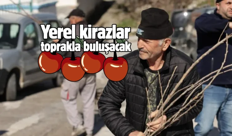 Kütahya’da tarıma uygun mahallelere yerel kiraz fidanı dağıtıldı
