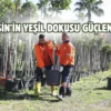 Mersin Büyükşehir’den ‘Ağaçlandırma Kampanyası’