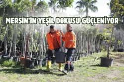 Mersin Büyükşehir’den ‘Ağaçlandırma Kampanyası’