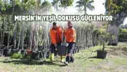Mersin Büyükşehir’den ‘Ağaçlandırma Kampanyası’