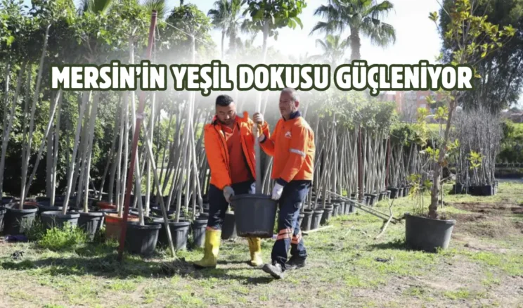 Mersin Büyükşehir’den ‘Ağaçlandırma Kampanyası’