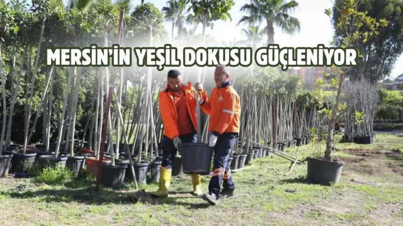 Mersin Büyükşehir’den ‘Ağaçlandırma Kampanyası’