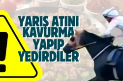 Mersin’de aşevi skandalı! Kavurmadan yarış atının çipi çıktı