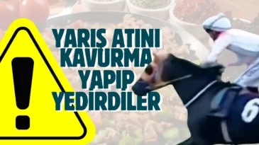 Mersin’de aşevi skandalı! Kavurmadan yarış atının çipi çıktı
