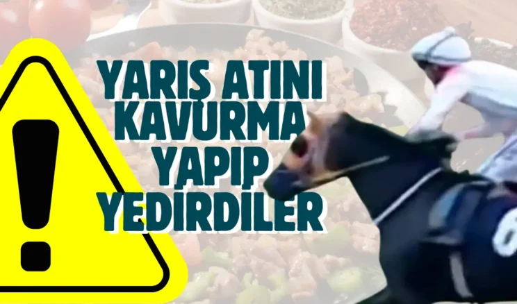 Mersin’de aşevi skandalı! Kavurmadan yarış atının çipi çıktı