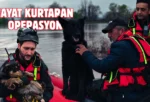 Su taşkınında mahsur kalan Cesur ve Zeytin kurtarıldı