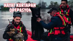 Su taşkınında mahsur kalan Cesur ve Zeytin kurtarıldı