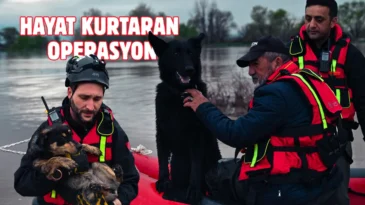 Su taşkınında mahsur kalan Cesur ve Zeytin kurtarıldı
