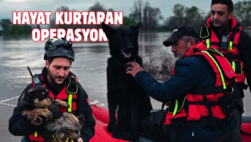 Su taşkınında mahsur kalan Cesur ve Zeytin kurtarıldı