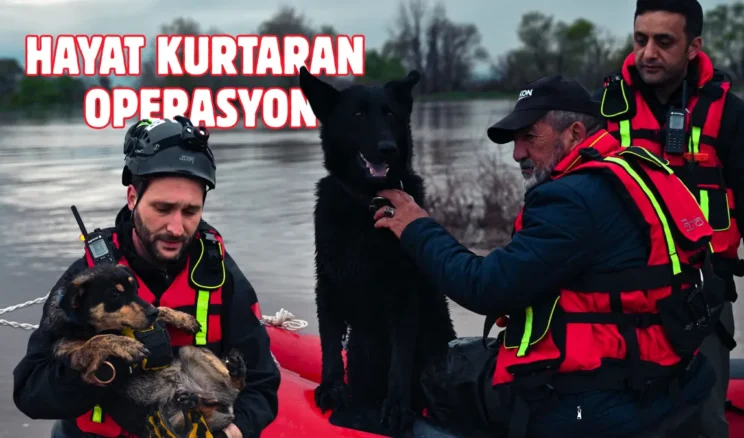 Su taşkınında mahsur kalan Cesur ve Zeytin kurtarıldı