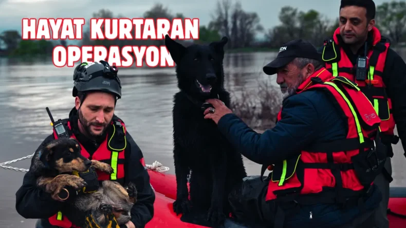 Su taşkınında mahsur kalan Cesur ve Zeytin kurtarıldı
