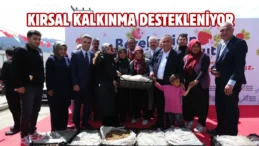 Adana’da üreticilere çilek fidesi desteği sağlandı