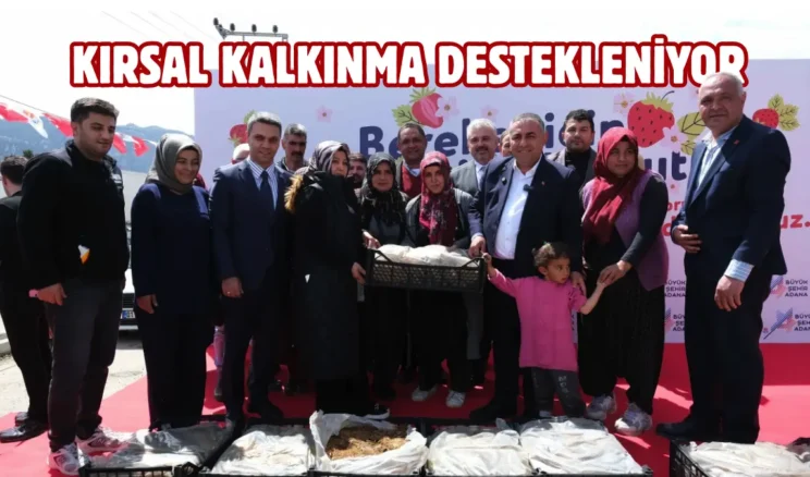 Adana’da üreticilere çilek fidesi desteği sağlandı