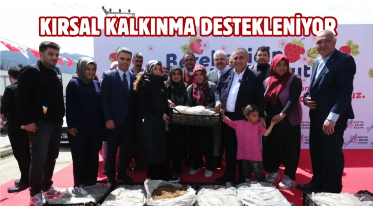 Adana’da üreticilere çilek fidesi desteği sağlandı