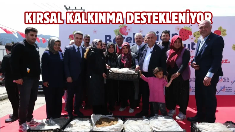 Adana’da üreticilere çilek fidesi desteği sağlandı