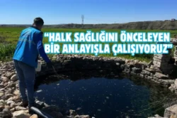 Adıyaman’da haşerelere karşı ilaçlama yapılıyor