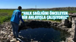 Adıyaman’da haşerelere karşı ilaçlama yapılıyor