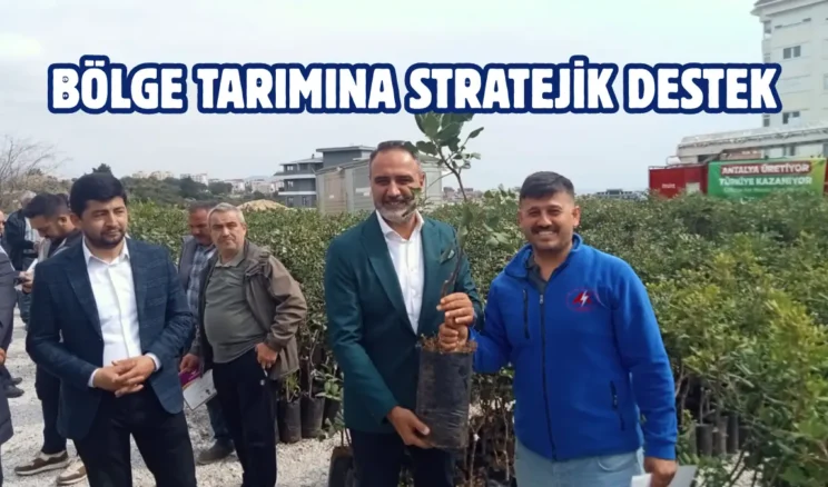 Antalya Alanya’da üreticilere keçiboynuzu desteği