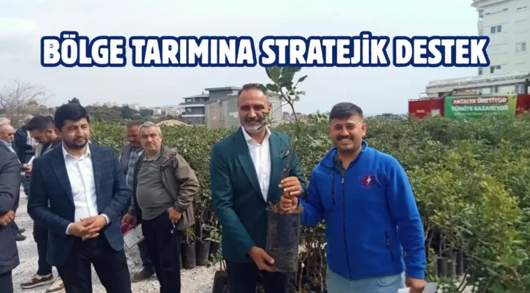 Antalya Alanya’da üreticilere keçiboynuzu desteği