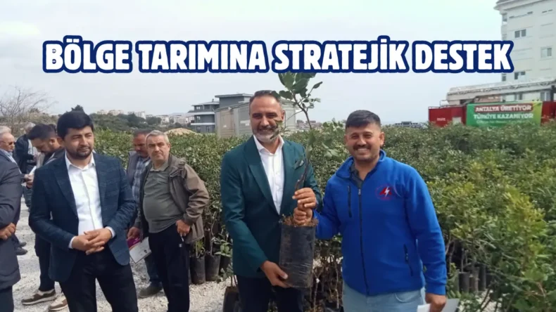 Antalya Alanya’da üreticilere keçiboynuzu desteği