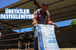 Aydın Germencik’e yem hibesi desteği