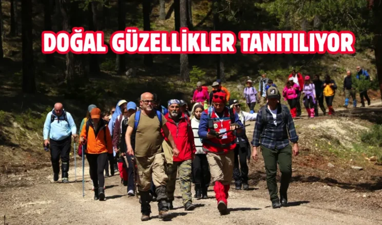 Bolu Belediyesi doğa yürüyüşleri düzenliyor
