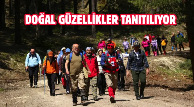 Bolu Belediyesi doğa yürüyüşleri düzenliyor