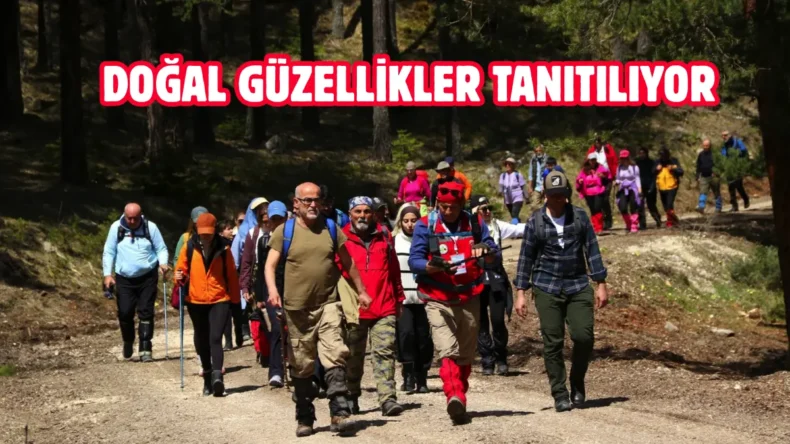 Bolu Belediyesi doğa yürüyüşleri düzenliyor