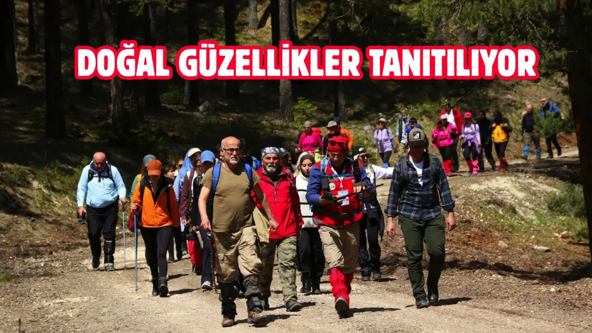 Bolu Belediyesi, kentin doğal güzelliklerinin tanıtılması amacıyla doğa yürüyüşleri düzenliyor.